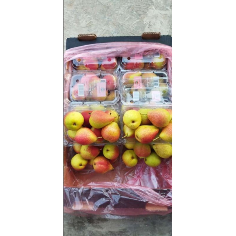 

Buah Pear Forelle 800gram