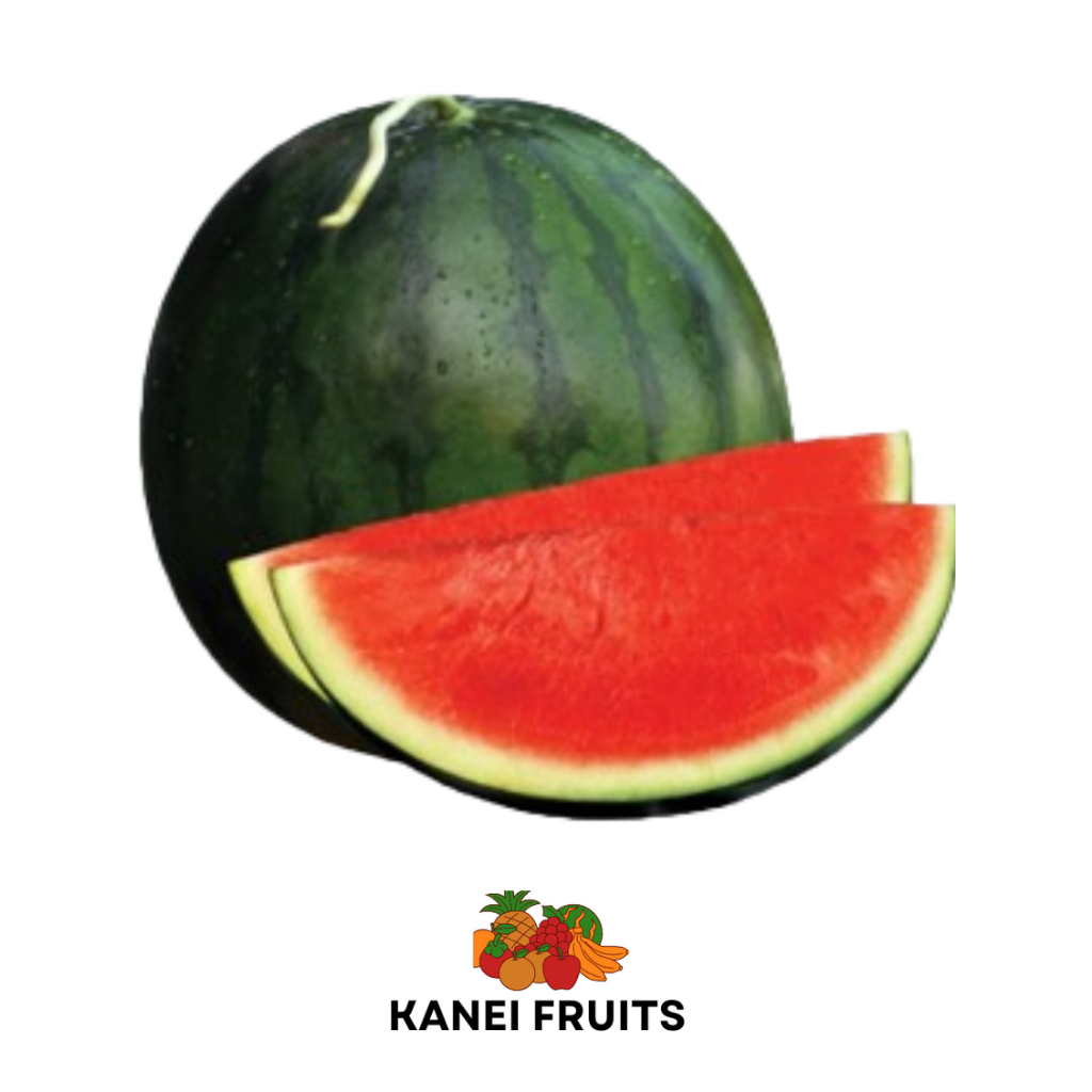 

SEMANGKA NON BIJI 1 KG ++