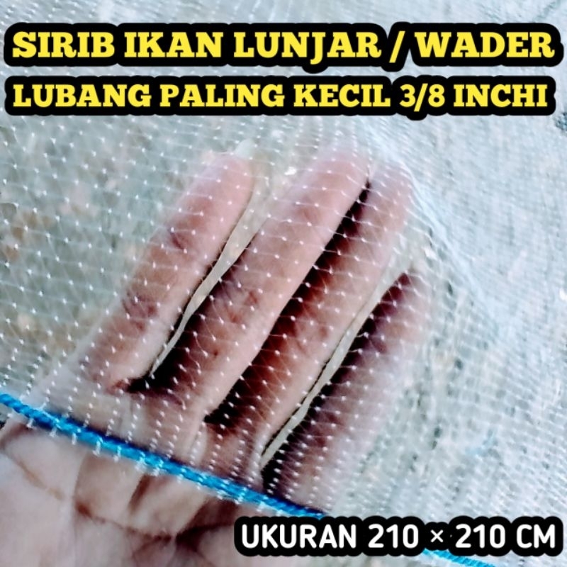 Sirib ikan lunjar / jaring anco ikan kecil
