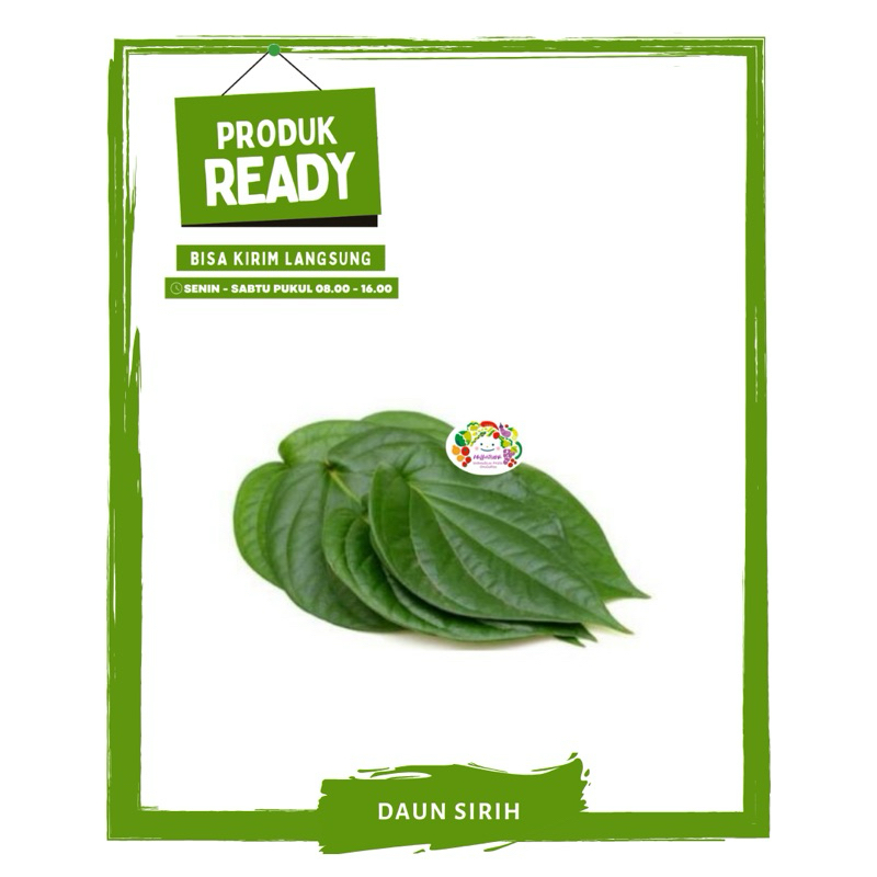 

Daun Sirih / Sayur Sayuran Segar Ready On Mallahrizwa