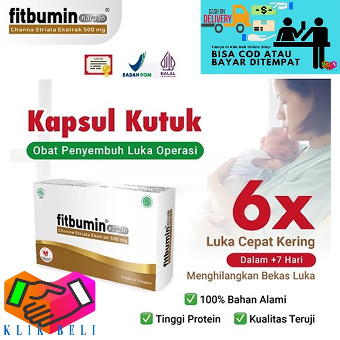 Fitbumin Haruan Suplemen Penyembuh Luka Operasi Multivitamin Imun Albumin Ekstrak Ikan Gabus Blister