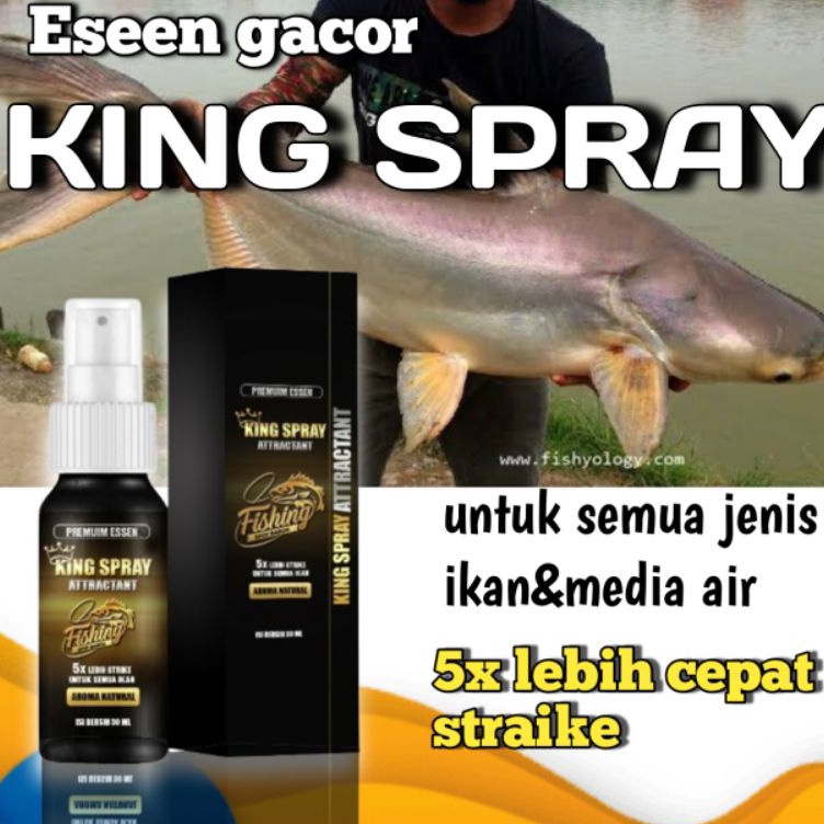 KODE P36L Essen Ikan Gacor King Spray esen nila lele mas tombro patin bawel kakapesen untuk segala j