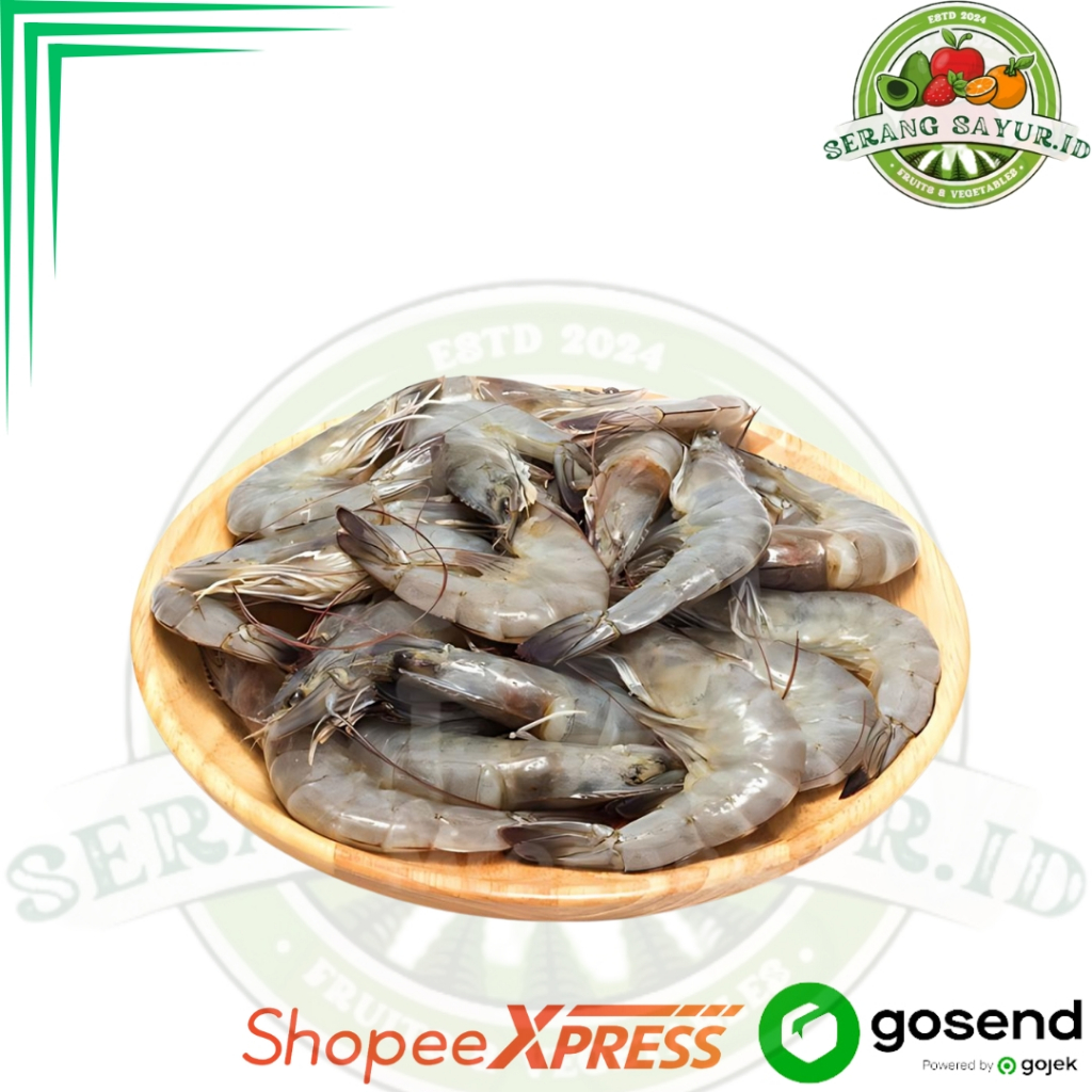 

UDANG BASAH SEDANG 500 GR