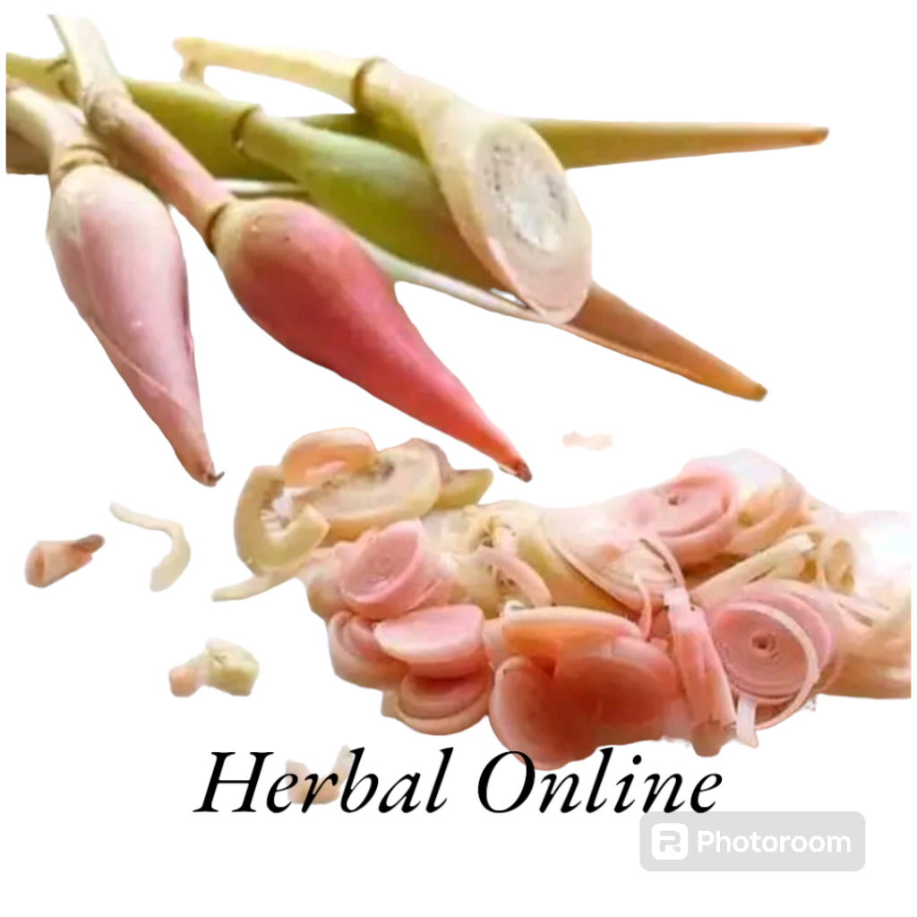 

Bunga Kecomrang Segar 1 kg - Bunga Honje Rombeh - Kincung Fresh