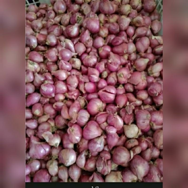 

bawang merah segar 1 kg / bawang merah murah / bawang merah bumbu dapur / bumbu masak / bawang merah 1 kg
