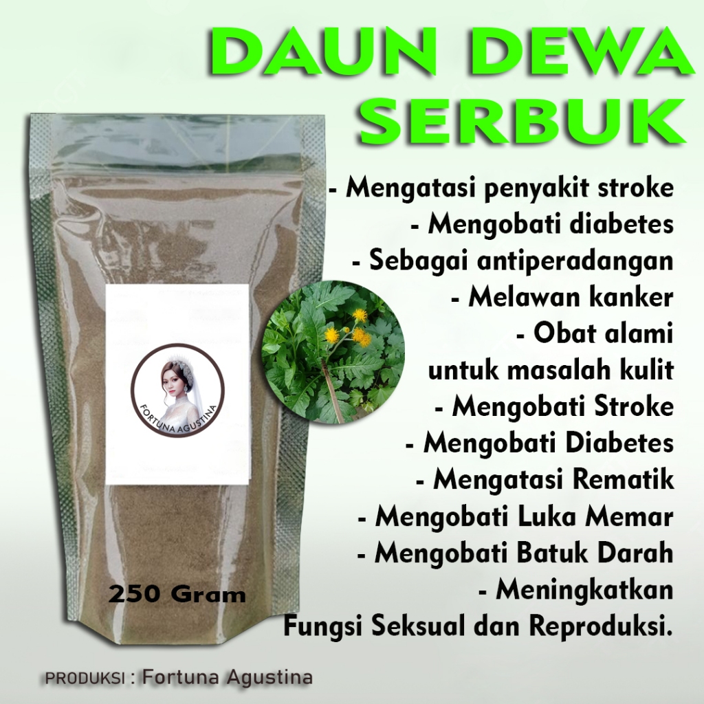 

Daun Dewa Serbuk , Mengatasi penyakit stroke