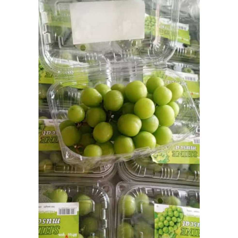 

Buah 500gr Anggur Shine Muscat, Buah Fresh Same Day Delivery Jogja