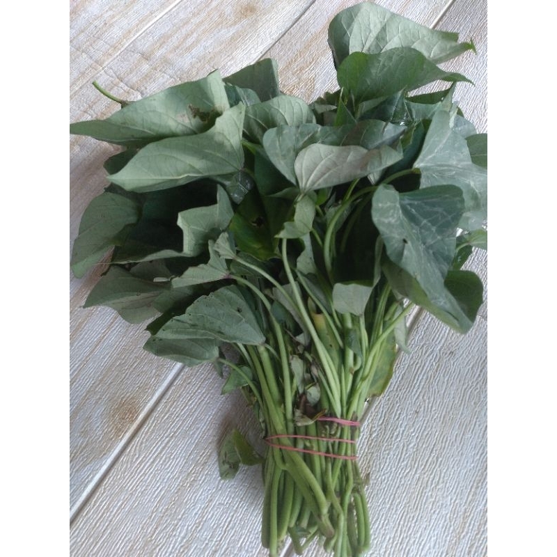 

Daun Ubi Segar 1 Ikat