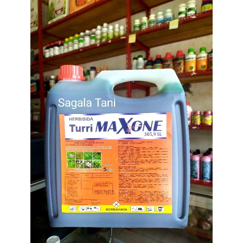 TurriMAXONE 305.9SL Kemasan 5L Herbisida Kontak SL tinggi