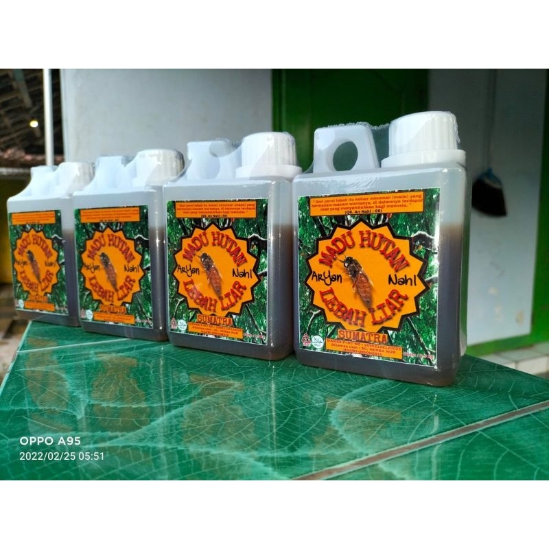 

madu hutan dari Sumatera
