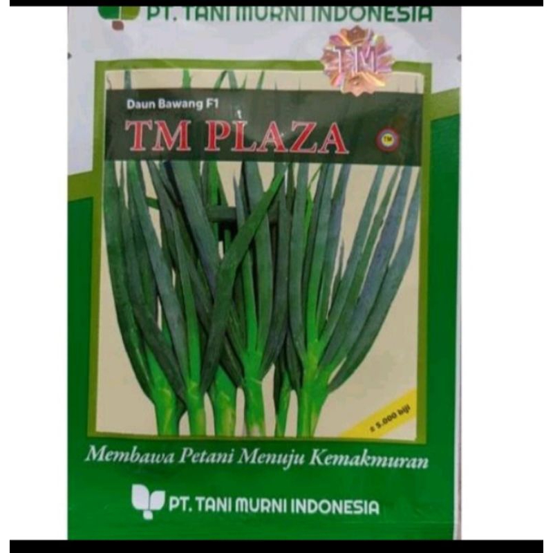 TM Plaza varietas daun bawang hibrida