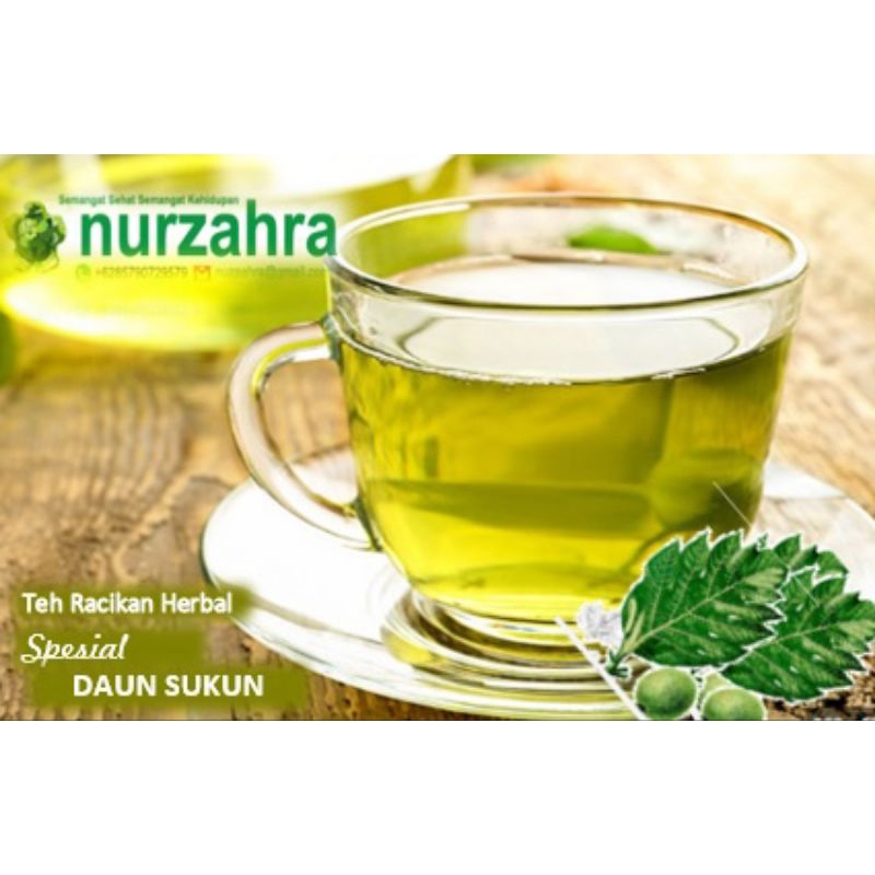 

Teh Celup Herbal Daun Sukun