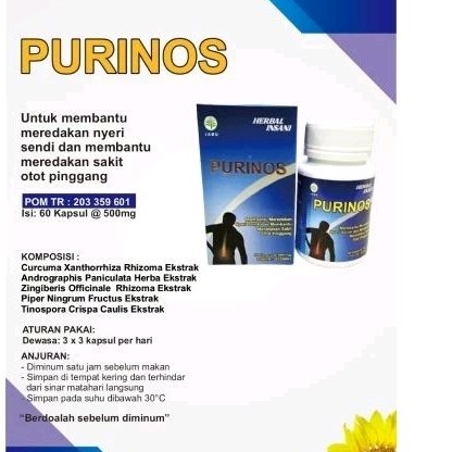 obat rematik dan asam urat