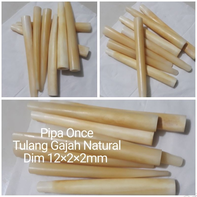 KODE U48E NATURAL PIPA ONCE TULANG GAJAH KUNING