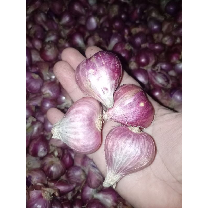

Bawang merah super & kering