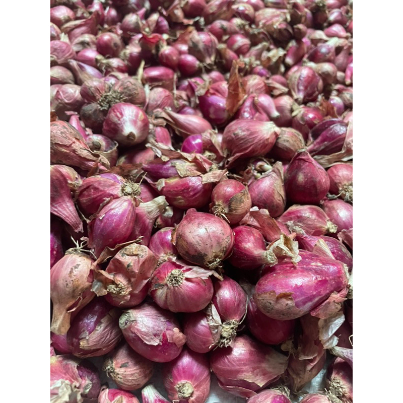 

Flash sale!! Bawang Merah 500gr