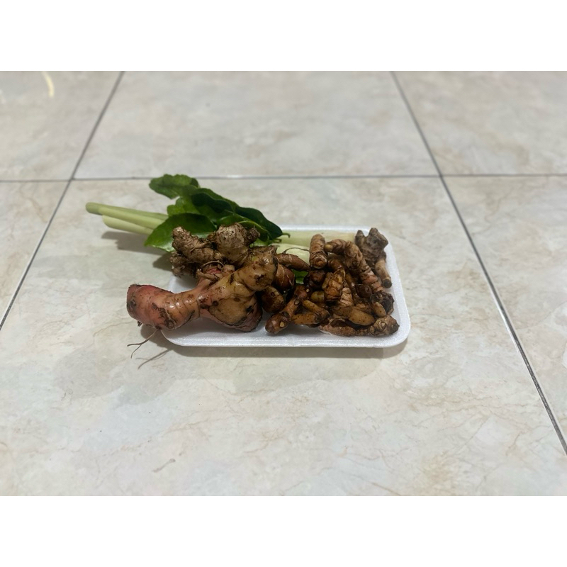 

Empon-empon lengkap fresh