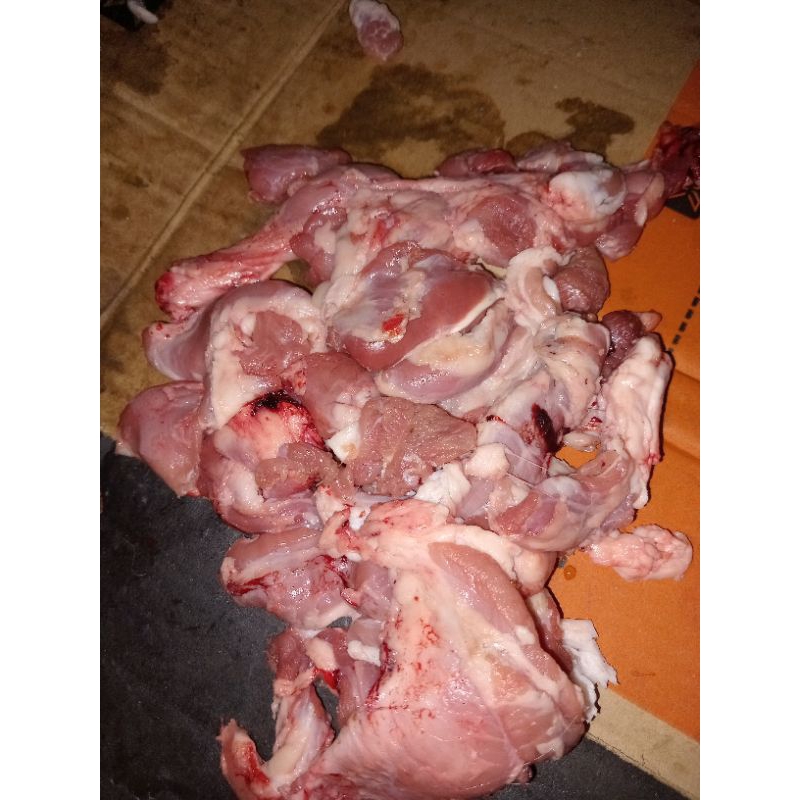 Daging Kambing Muda untuk Sate, Sop, Rendang, Frozen