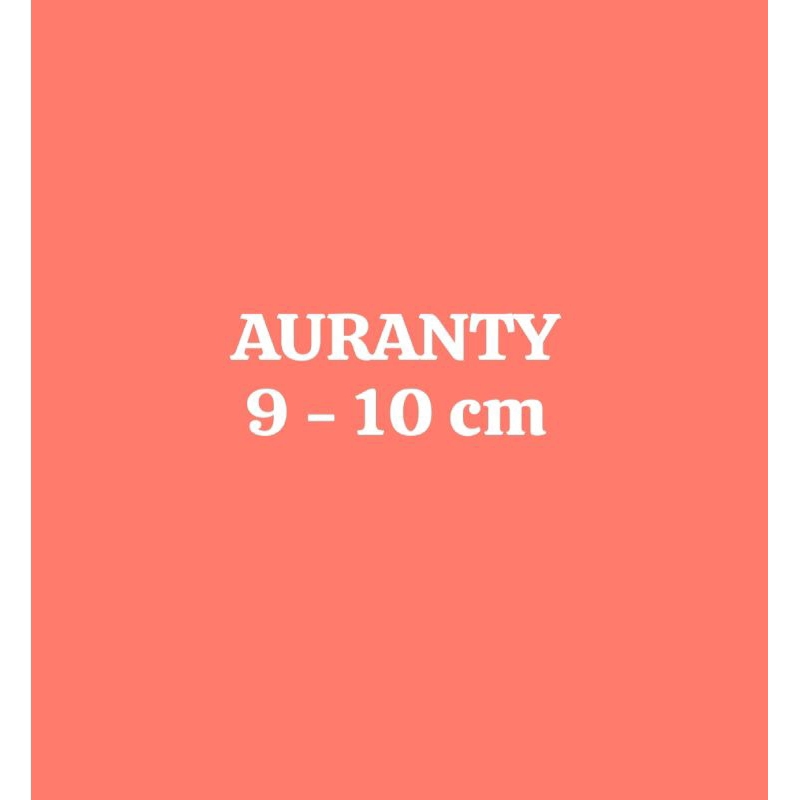 AURANTY WC BABY