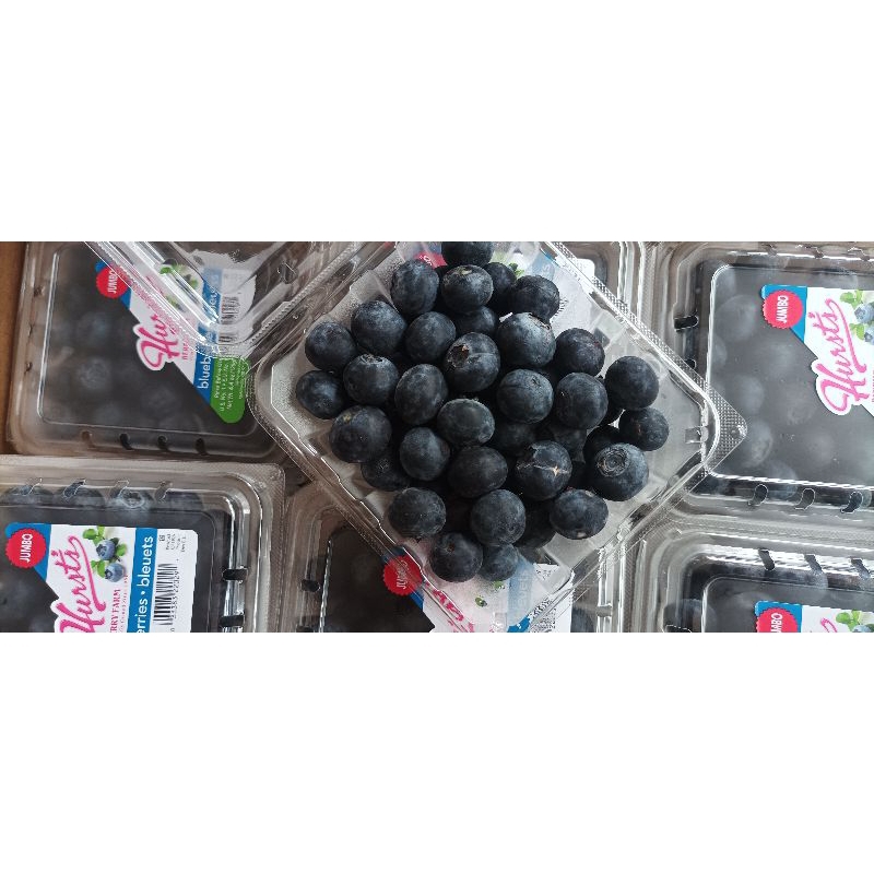 

Blueberry Fruit / 1 Box / 12pack
