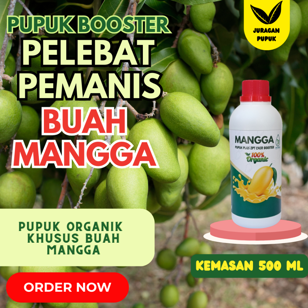 Pupuk Organik cair | Pupuk Booster Buah mangga | Pupuk buah mangga | pupuk pelebat buah anti rontok