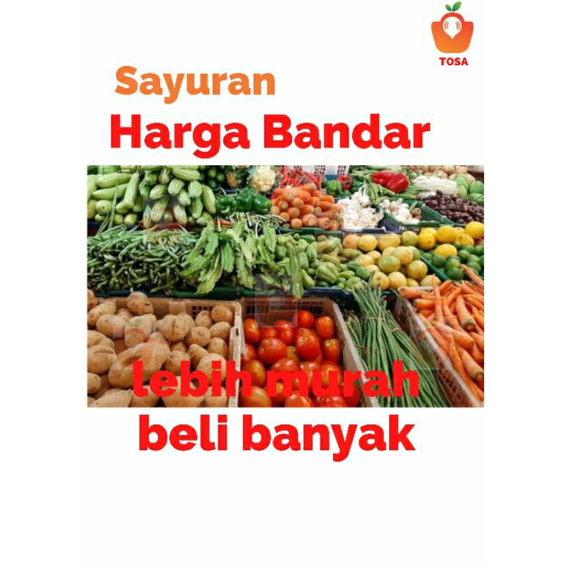 

sayuran/wortel/timun/kentang/kubis/tomat/sawi putih/sosin/pakcoy/terong ungu/selada bokor/