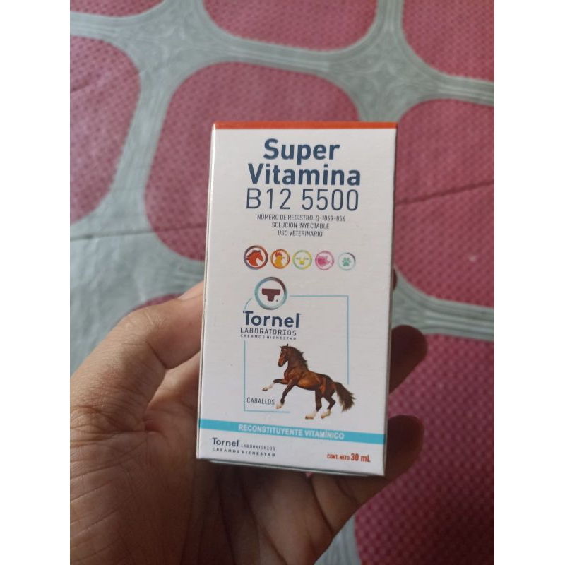 super vitamina kuda vitamin kuda obat hewan