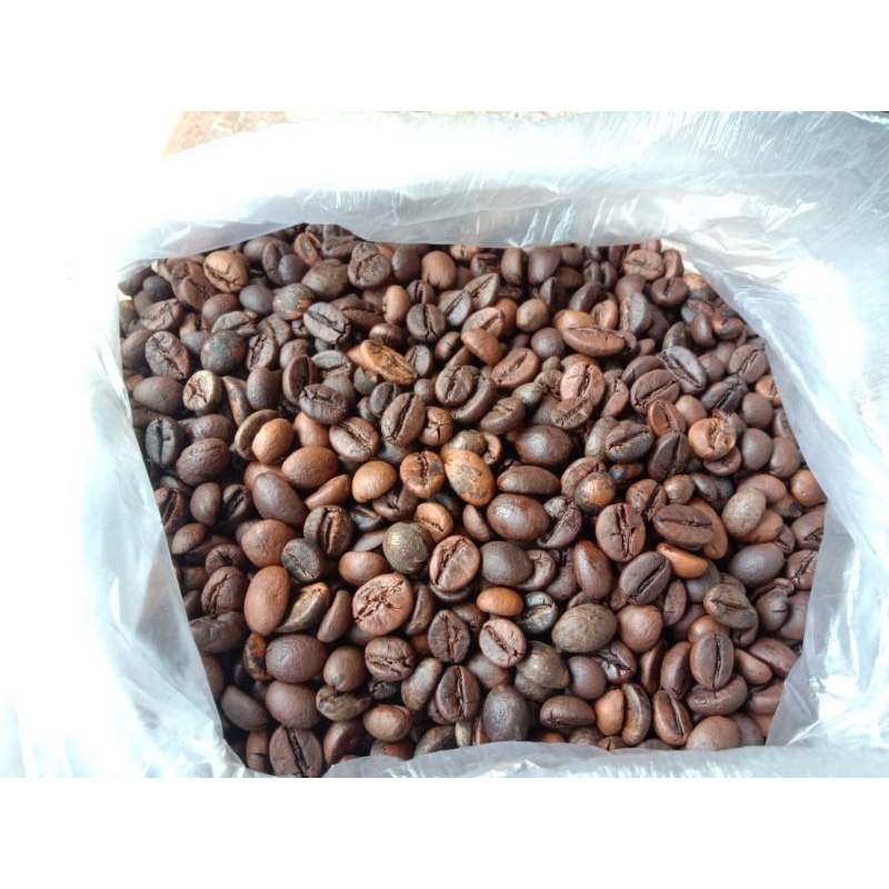 

kopi luwak asli
