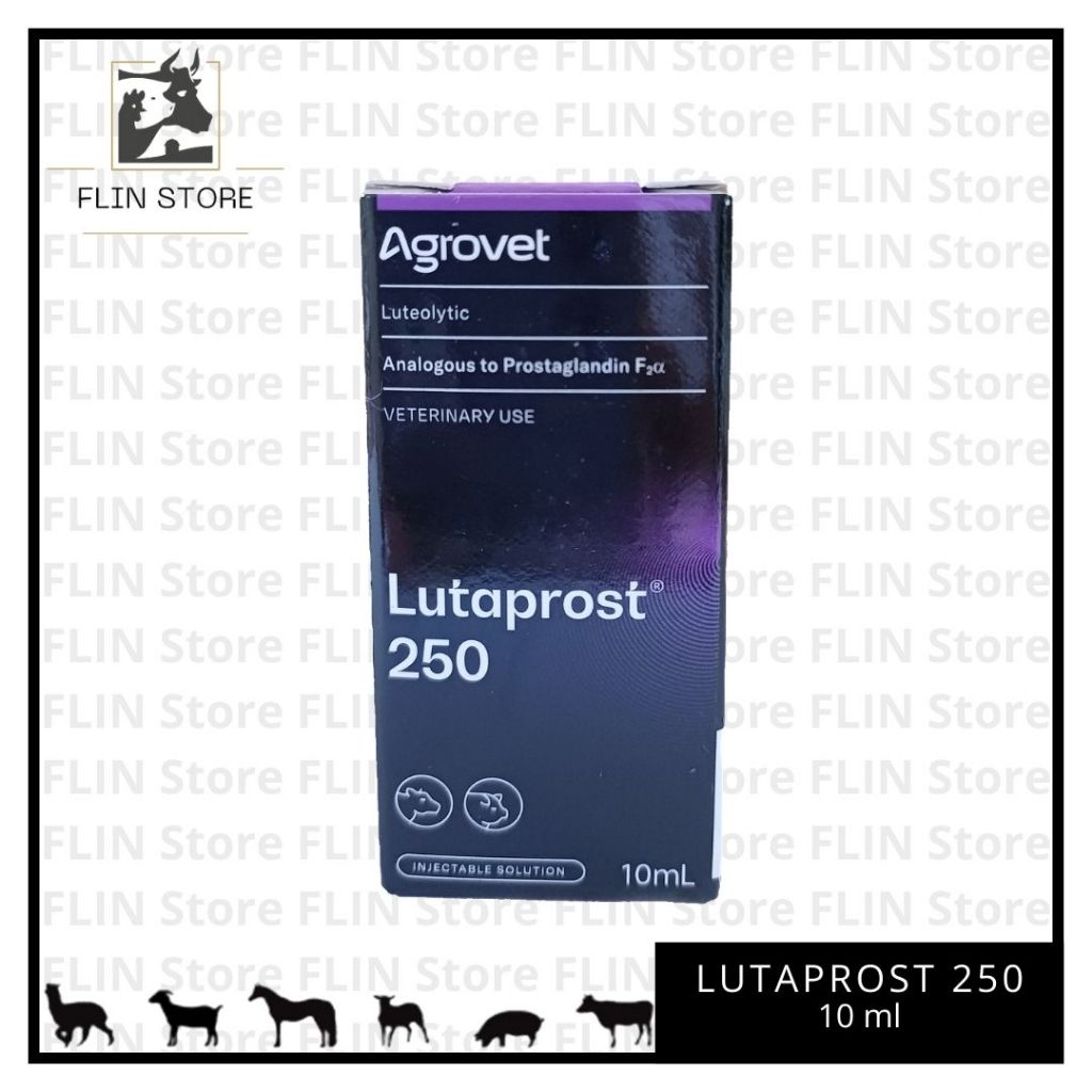 Lutaprost 250 Agrovet 10 ml - Hormon PGF2 Alfa - Obat hewan