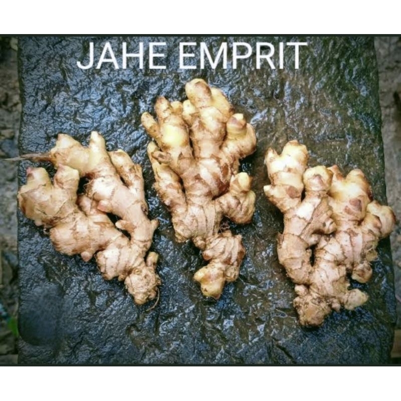 

Jahe EMPRIT Per 250 Gram