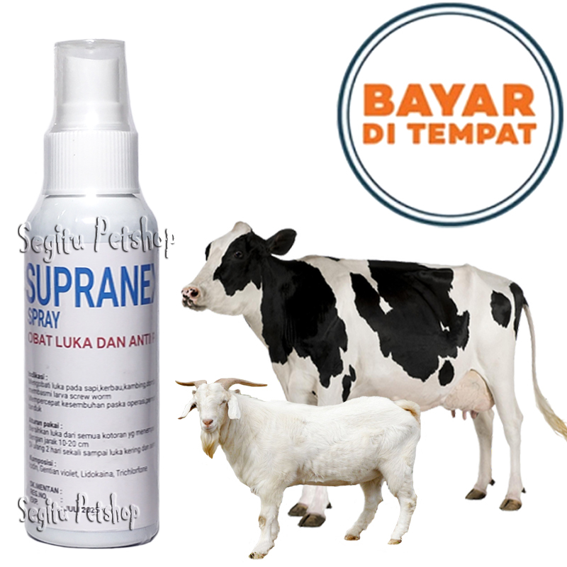 OBAT SAPI KAMBING ANTI LUKA JAMUR KORENG PENGHILANG PARASIT GUREM SUPRANEX SPRAY