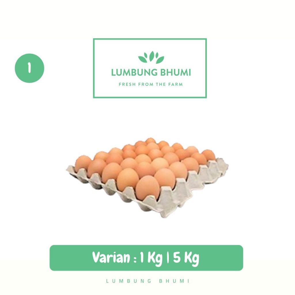 

RB Telur Ayam Negeri Kiloan - Lumbung Bhumi