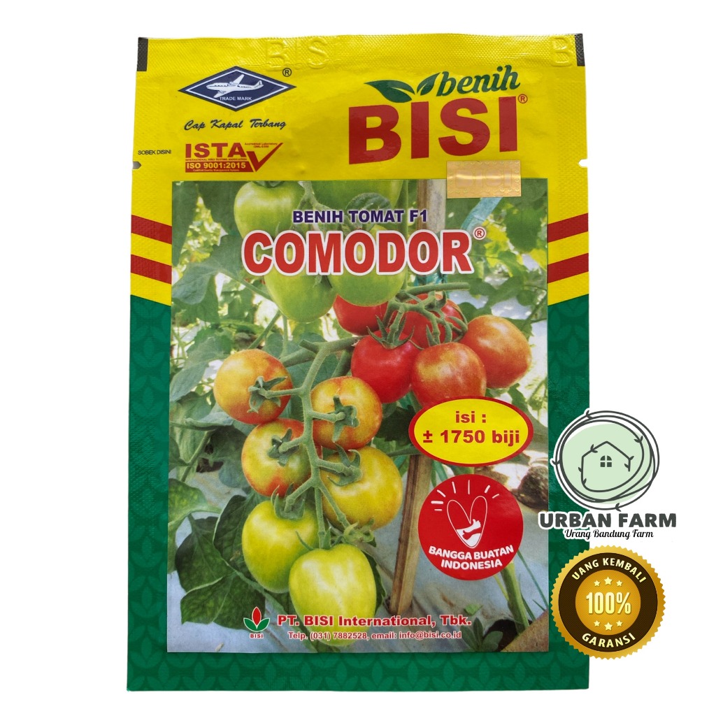 Benih Tomat F1 COMODOR 5gram - Benih Tomat Hibrida Benih Tomat Sayur