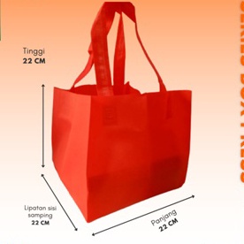 

KI3 Tas Spunbond membentuk Box 22x22 TLSbox harga perLUSIN 12pc Goodie Bag Tas besek