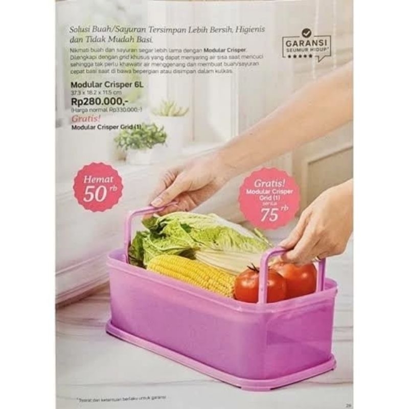 Tupperware Modular Crisper 6L