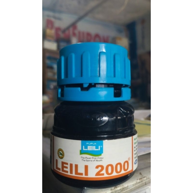 LEILI 2000