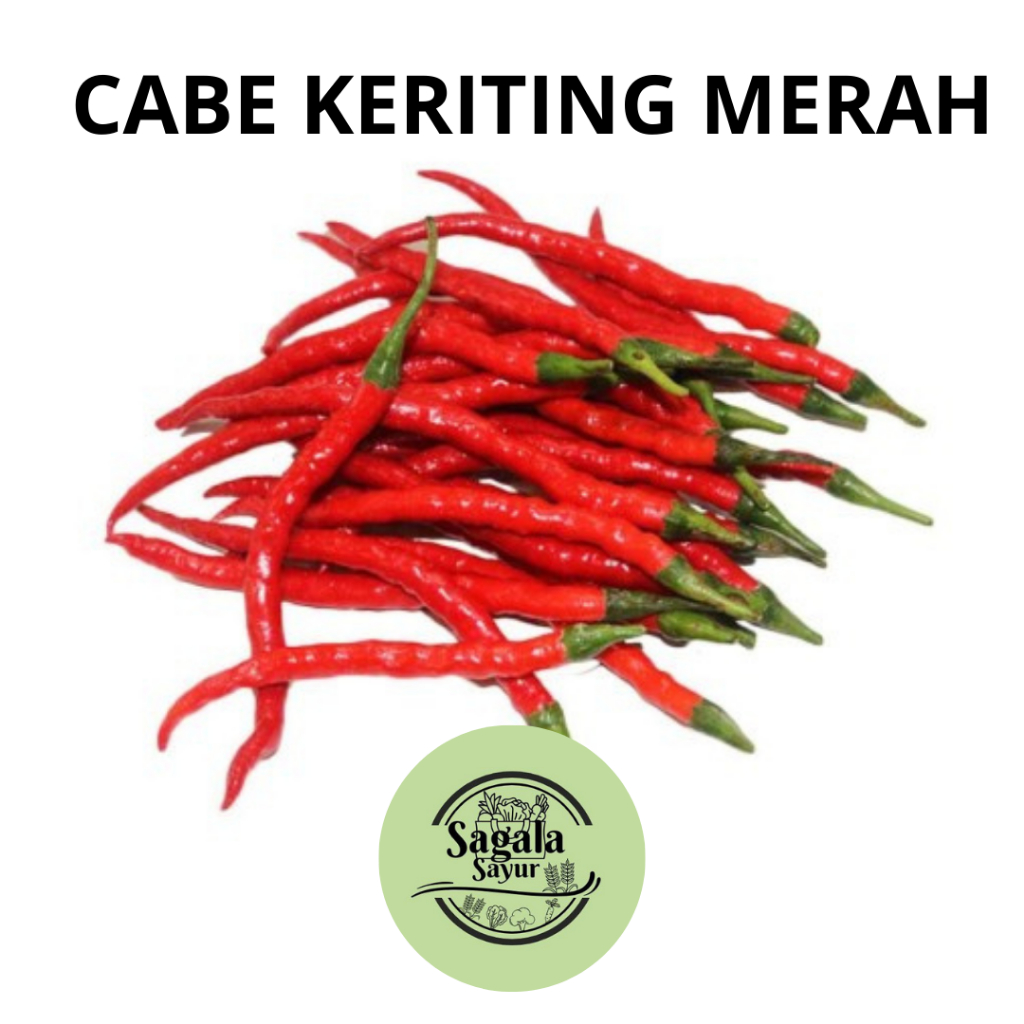 

CABE KERITING MERAH