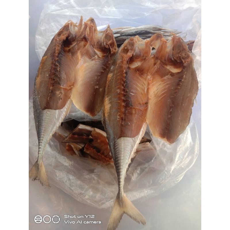 

ikan asin Balato segar