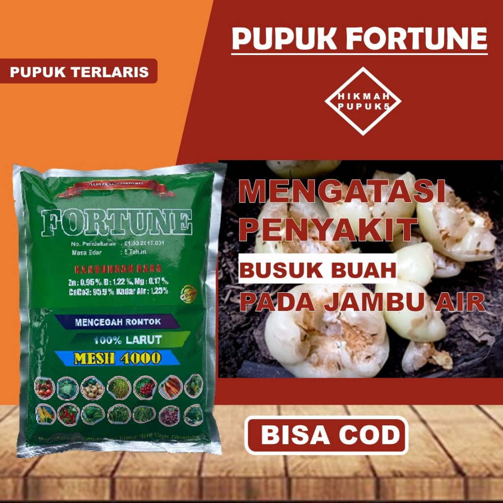 Pupuk Fortune isi 1 kg Mengobati Jambu Mudah Rontok dan Berbuah Busuk Paling Ampuh Hasil Banyak Atas