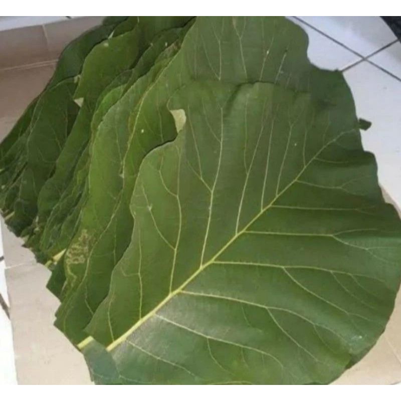 

daun jati bungkus makanan 100 lembar