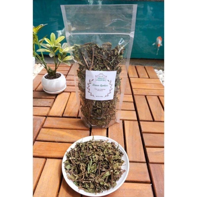 

Daun Luntas/Beluntas Kering (100gram ) Premium Organik