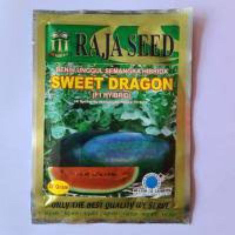 Benih Biji Sweet Dragon Raja Seed F1