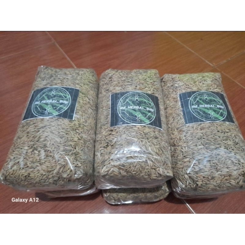 

BIBIT PADI BERAS MERAH 1KG 100HARI PANIN