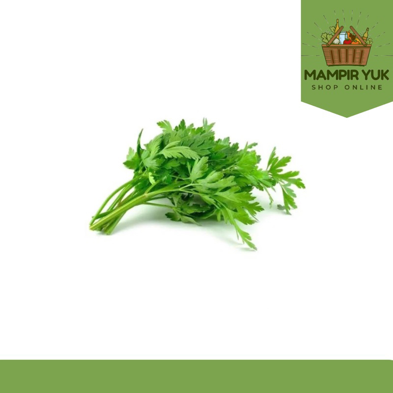

Daun seledri/ikat | mampiryuk