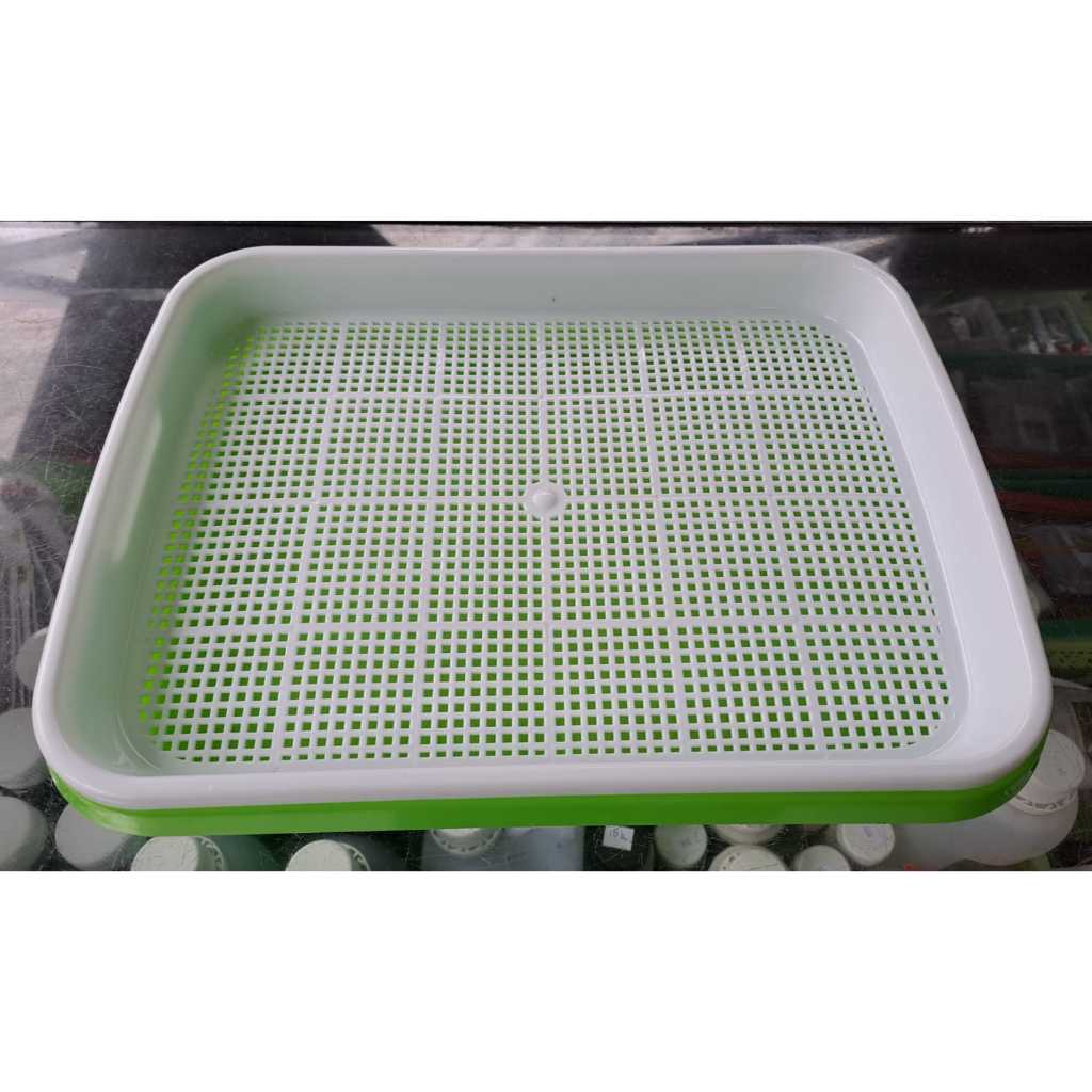 Tray Semai Microgreens