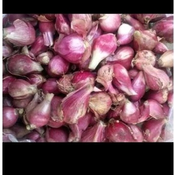 

Bawang Merah Super 1kg