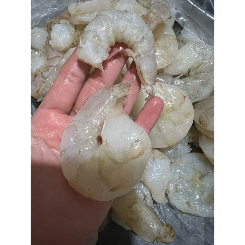

UDANG KUPAS LAUT SIZE XL 1KG
