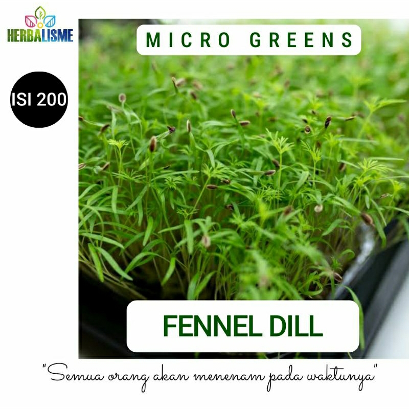 BENIH BIJI MICROGREENS