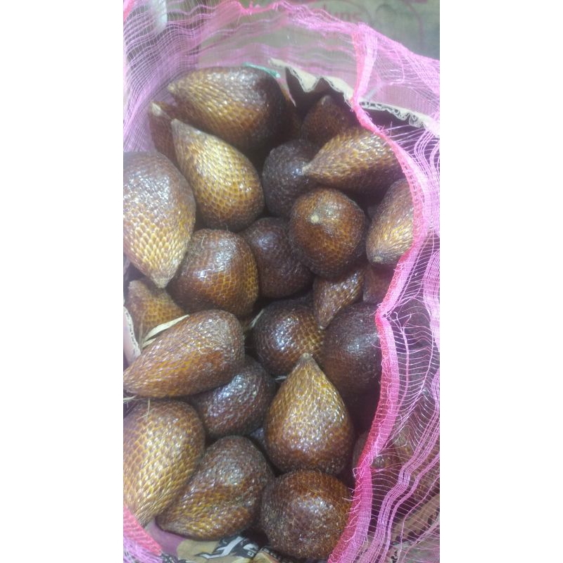 

salak pondoh T