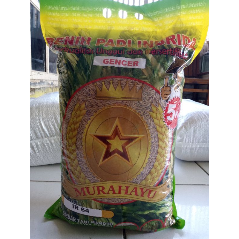 Benih padi unggul IR64 gencer premium kemasan 5kg
